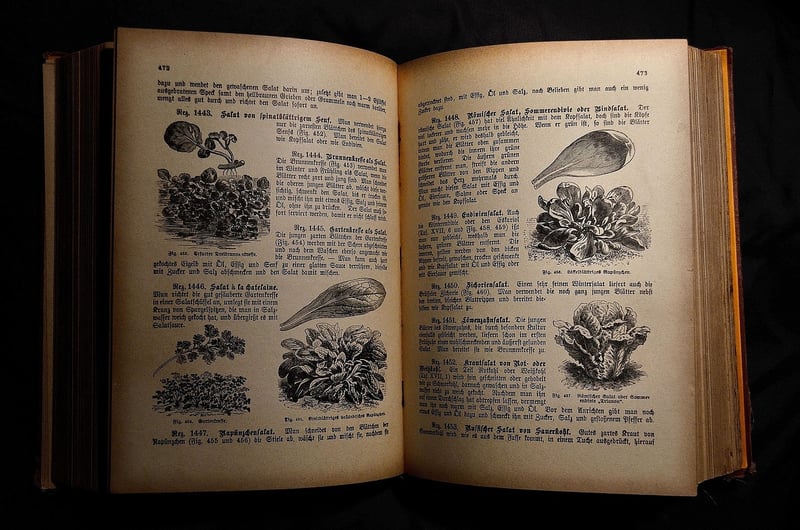 Cookbook Reviews